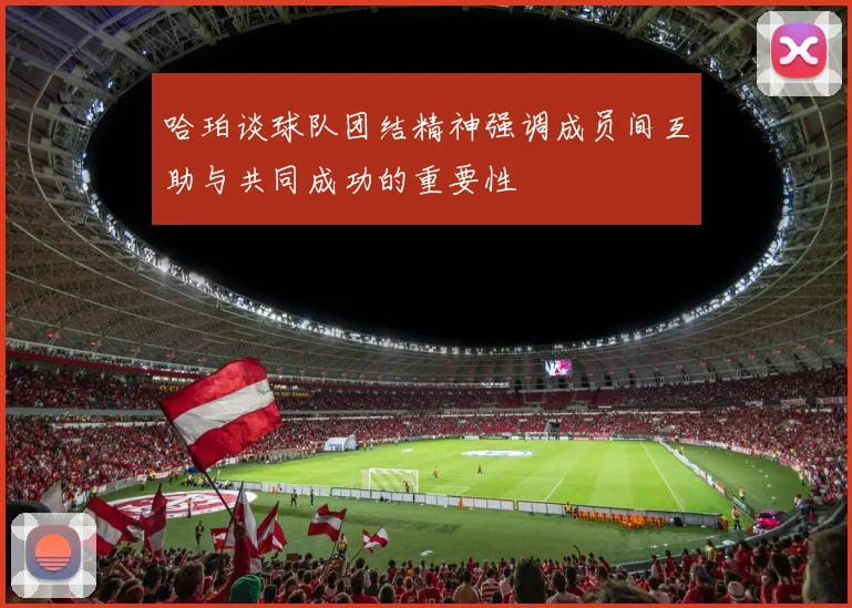 哈珀谈球队团结精神强调成员间互助与共同成功的重要性