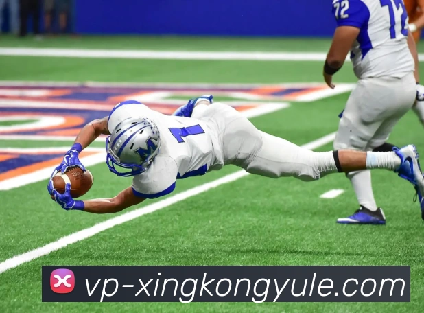 星空娱乐APP 封面图