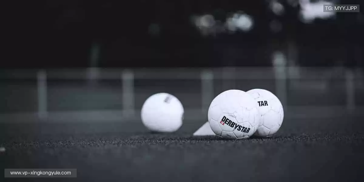 📱【直播平台】超清画质,错过的精彩都在这里回放!